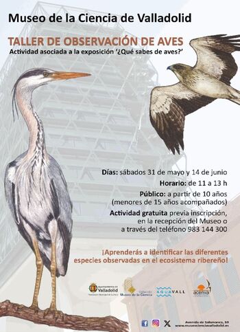 Talleres de observación de aves